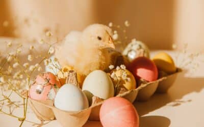 Régime aux œufs : avantages, inconvénients et conseils pour bien le suivre