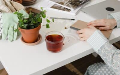 Thé ventre plat : les meilleures infusions pour retrouver une silhouette harmonieuse