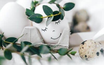 Protéine et perte de poids : le guide pour une alimentation équilibrée